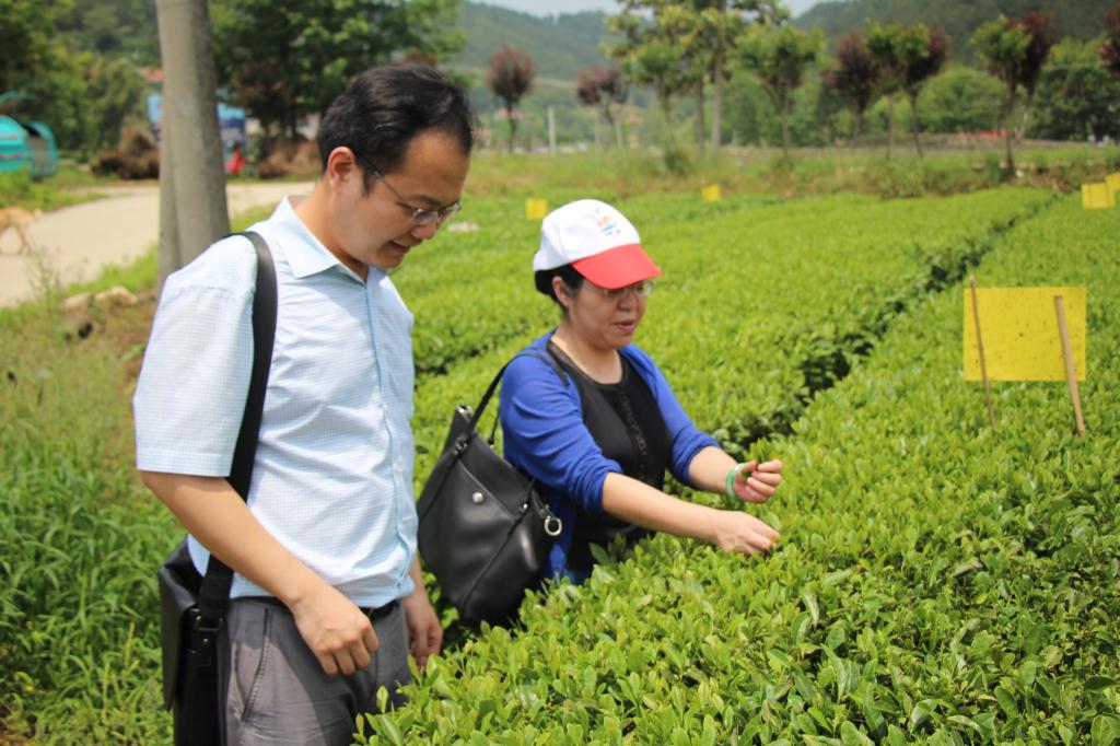 教师进农户，理论下基层——皇冠体育官网全体党员教师赴英山县乌云山村学习调研